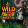 Wild Orient 로고