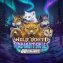 Wild North Radiant Skies Go Collect 로고