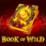 Book of Wild 로고