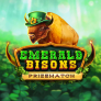Emerald Bisons PrizeMatch 로고