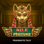 Nile Fortune 로고