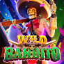 Wild Bandito 로고