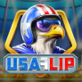 USA Flip 로고