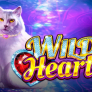 Wild Hearts 로고