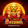 5 Lions Reborn 로고