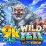 9K Wild Yeti Dream Drop 로고