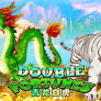 Double Fortune 로고