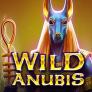 Wild Anubis 로고