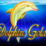 Dolphin Gold 로고