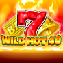 Wild Hot 40 로고