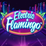 Electric Flamingo 로고
