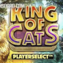 King of Cats 로고