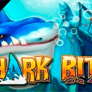 Shark Bite 로고