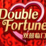 Double Fortune 로고