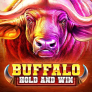 Buffalo Hold and Win 로고