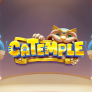Catemple 로고