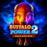 Buffalo Power 2 Hold and Win 로고