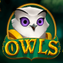 Owls 로고