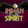 Indian Spirit 로고