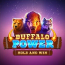 Buffalo Power Hold and Win 로고