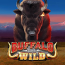 Buffalo Goes Wild 로고