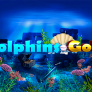 Dolphins Gold 로고