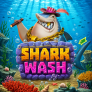 Shark Wash 로고