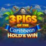 3 Pigs of the Caribbean 로고