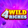 4 Wild Riches 로고