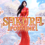 Sakura Fortune 로고