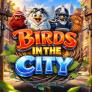Birds in The City 로고