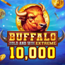 Buffalo Hold and Win Extreme 10000 로고
