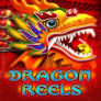 Dragon Reels 로고