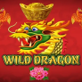 Wild Dragon 로고