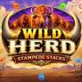 Wild Herd Stampede Stacks 로고