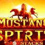 Mustang Spirit Cash Stacks 로고